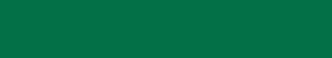 Secondary Support Palette Green