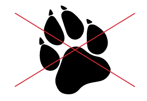 Different paw print