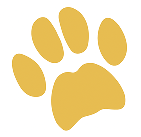 Gold paw print