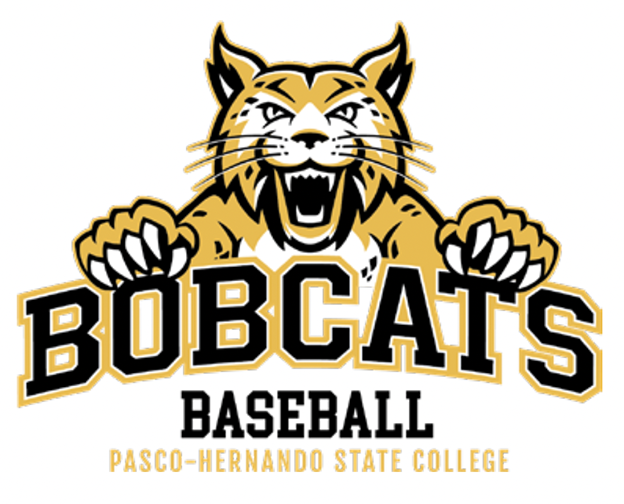 PHSC's baseball logo in black wordmark