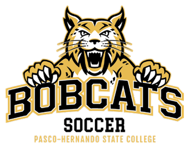 Bobcat lunge with black wordmark and sports name - soccer