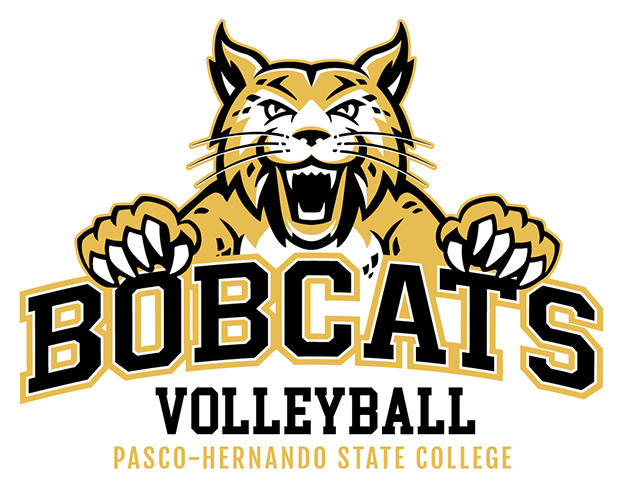 Bobcat lunge with black wordmark and sports name - volleyball