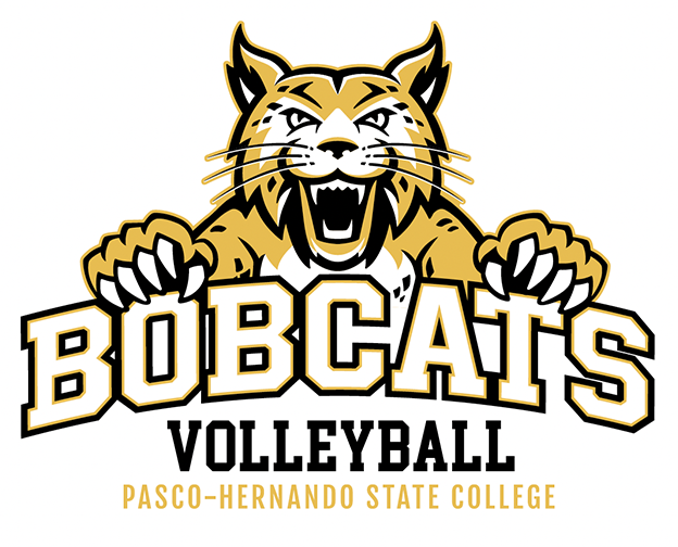 Bobcat lunge with white wordmark and sports name - volleyball