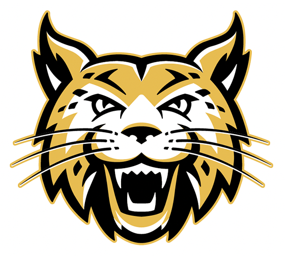 Bobcat head - front
