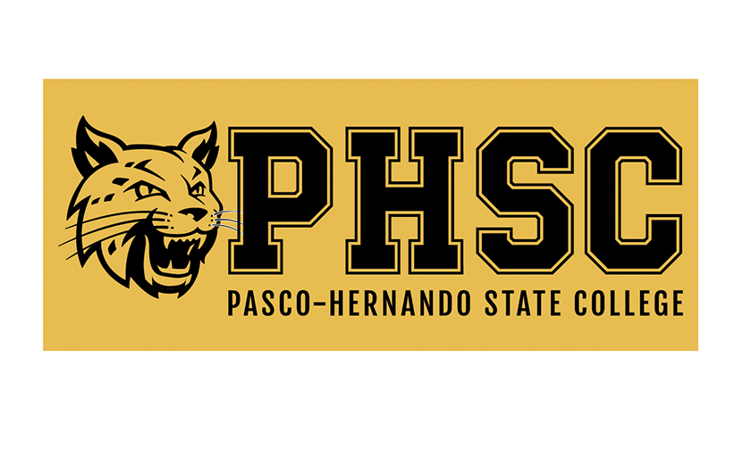 Bobcat Head Front-Main Wordmark - One Color Version Example